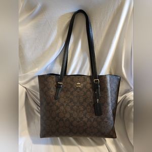 Coach mollie tote signature canvas